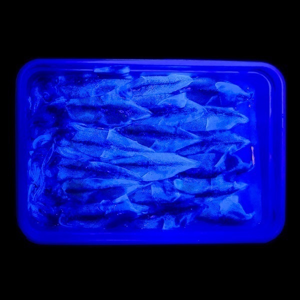 【店頭販売限定品】ケイムラ生ホタルイカ